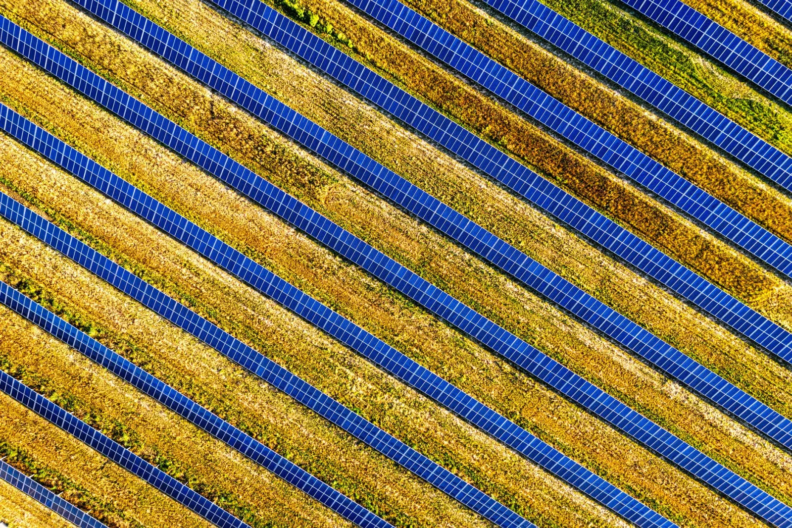 Zonneveld op Afstand Saldering: Voordeel na 2027